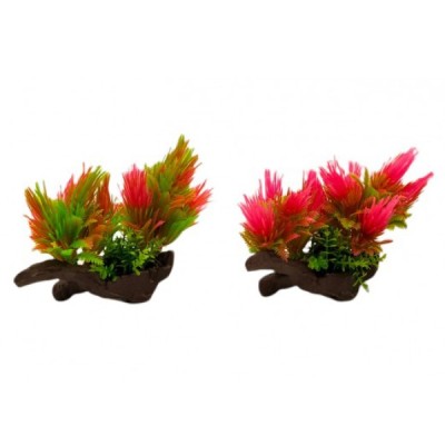 ΔΙΑΚΟΣΜΗΤΙΚΟ ΦΥΤΟ ΕΝΥΔΡΕΙΟΥ 13Χ14CM